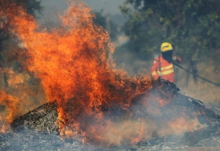 Governo Bolsonaro rejeita R$ 83 milhões do G7 para ajudar a Amazônia.