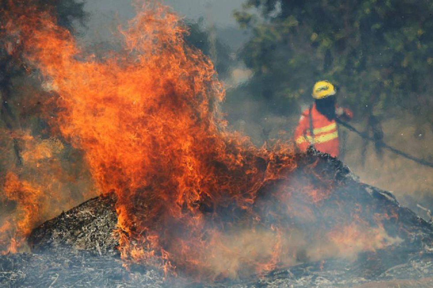 Governo Bolsonaro rejeita R$ 83 milhões do G7 para ajudar a Amazônia.