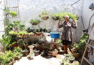 Programa busca implantar jardins florestais e hortas em residências de alunos de escolas de Juazeiro do Norte