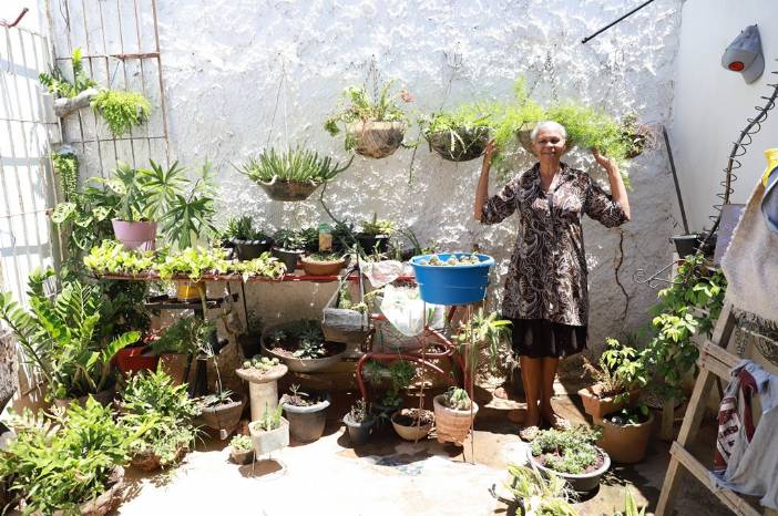 Programa busca implantar jardins florestais e hortas em residências de alunos de escolas de Juazeiro do Norte