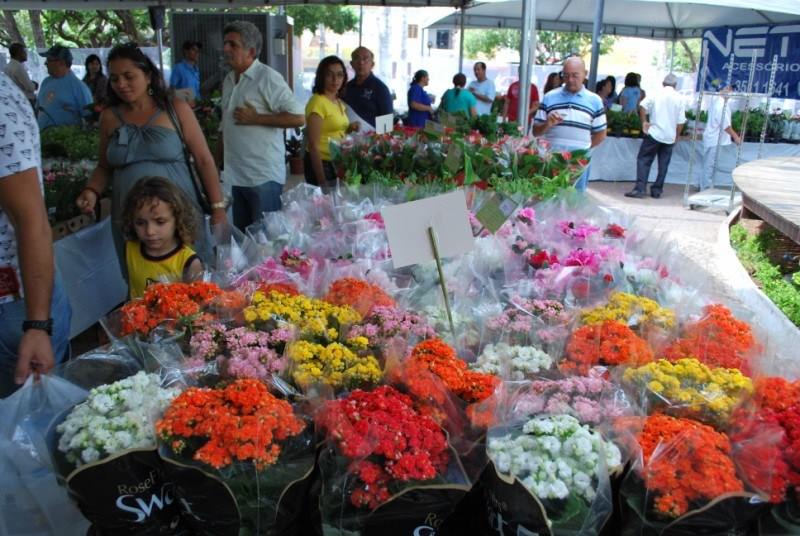 XI Festival das Flores de Holambra chega ao Cariri